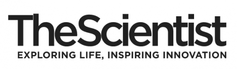 the scientist logo